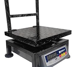 100Kg Electronic Weighing Machine
