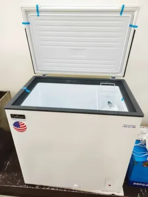 200 Ltr Hard Top Freezer (CF-211)