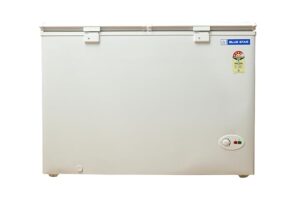 Bluestar Double Door  Deep Freezer 310 L
